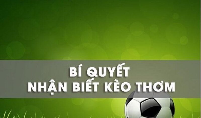 Làm Sao Để Chọn Trận Có Tỷ Lệ Kèo Thơm Nhất Trong Ngày?