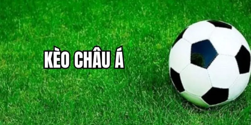 vi sao keo nha cai chau a thuong chinh xac hon chau au 6867e3d3b3a30